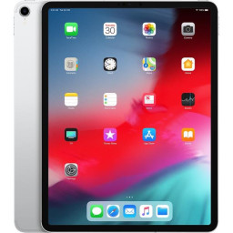 IPAD PRO 11 1TB WI-FI CELL PLATA