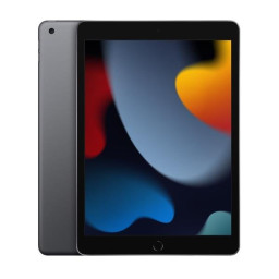 IPAD WI-FI 64GB SPG
