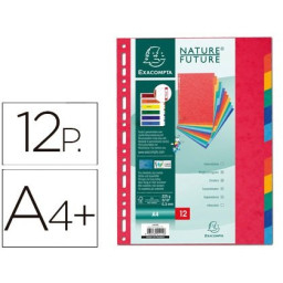 Separador EXACOMPTA DINA4+ 12 posiciones multitaladro, colores vivos