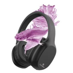 AURICULARES BT COOLBOX 25BK