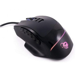 RATON DP PRO-SWAP MODULAR