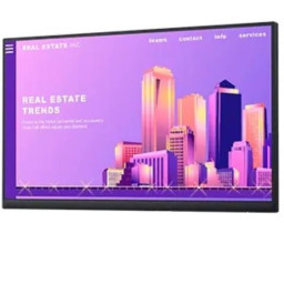 22 MONITOR   P2222H NO STAND- 21.5