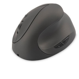 RAT N INAL MBRICO ERGON MICO VERTIC