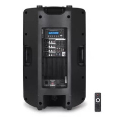 PANTALLA AMPLIFICADA 180W 15