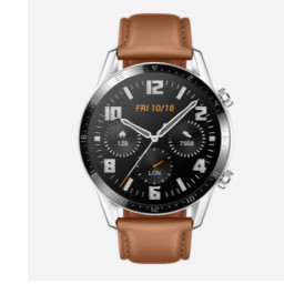 GT2 CLASSIC PEBBLE BROWN (LB19V)