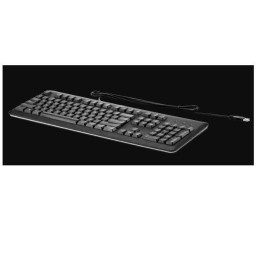 HP (BULK PACK 14) USB KEYBOARD