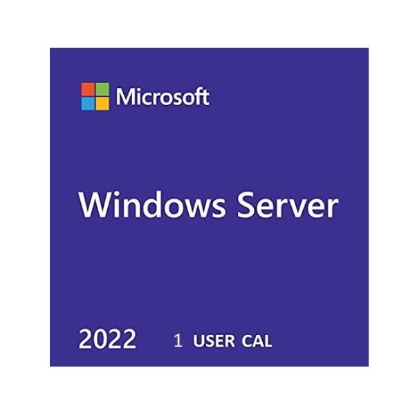 WS SVR2022 CAL 1 USER