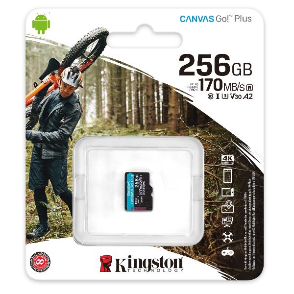 256GB MICROSD CANVAS GO PLUS