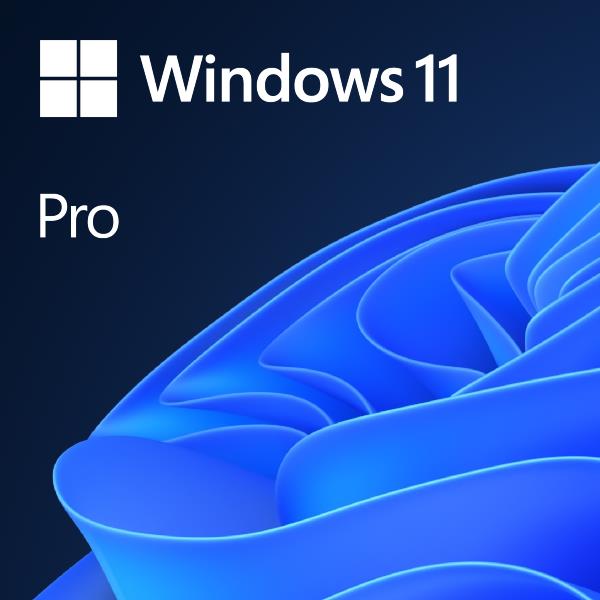 WIN 11 PRO 64BIT PORT 1PK DVD