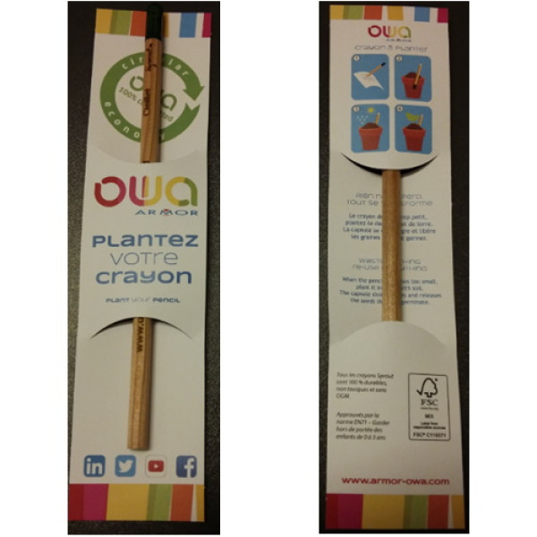 Lápiz y semilla planta OWA plantez votre crayon