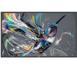 MONITOR 32 SERIE Q-LINE