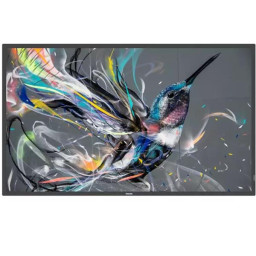 MONITOR 43  Q-LINE  18/7  4K UHD