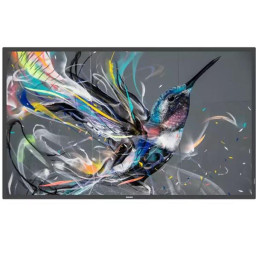 MONITOR 50 Q-LINE 18/7 4K UHD