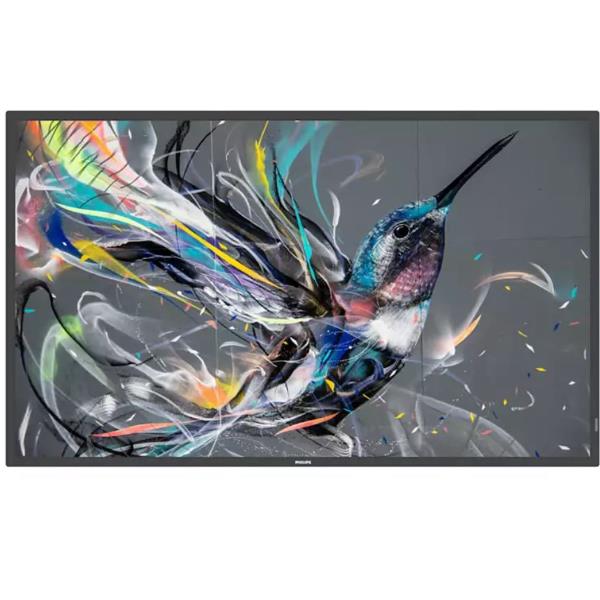 MONITOR 50 Q-LINE 18/7 4K UHD