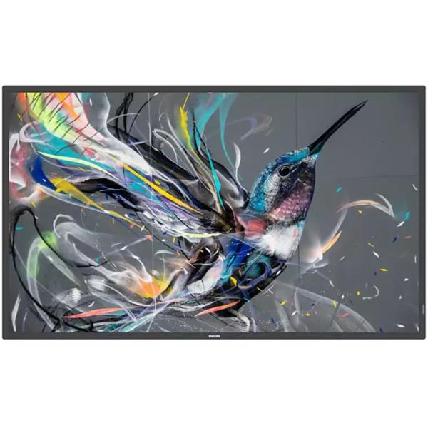 MONITOR 55  Q-LINE 4K UHD 18/7