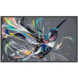 MONITOR 65 Q-LINE 4K UHD 18/7