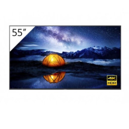 DISPLAY FW-55BZ40H 55 4K 24/7