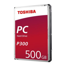 BULK P300 HIGH-PERFORMANCE 500GB