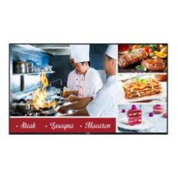 MONITOR PROFESIONAL 49  24/7 OPS