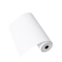 6 ROLLOS PAPEL CONTINUO A4