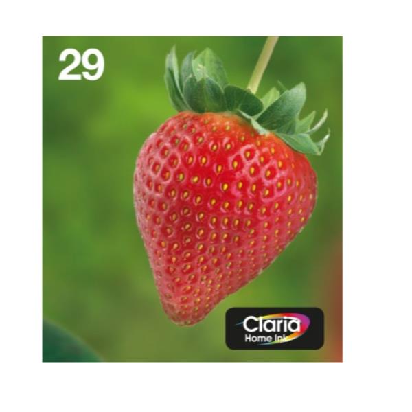 MULTIPACK 29 EASYMAIL 4 COLORES